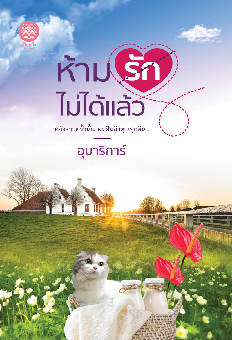 ห้ามรักไม่ได้แล้ว book cover