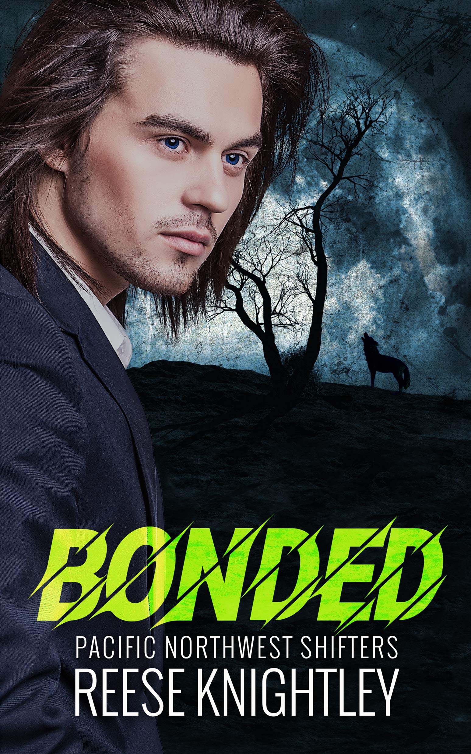 Pacific Northwest Shifters book cover 2