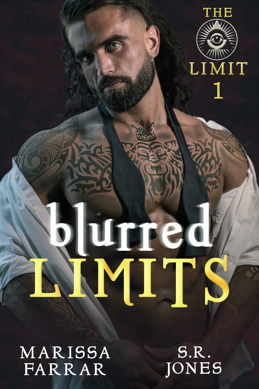 The Limit book cover 1