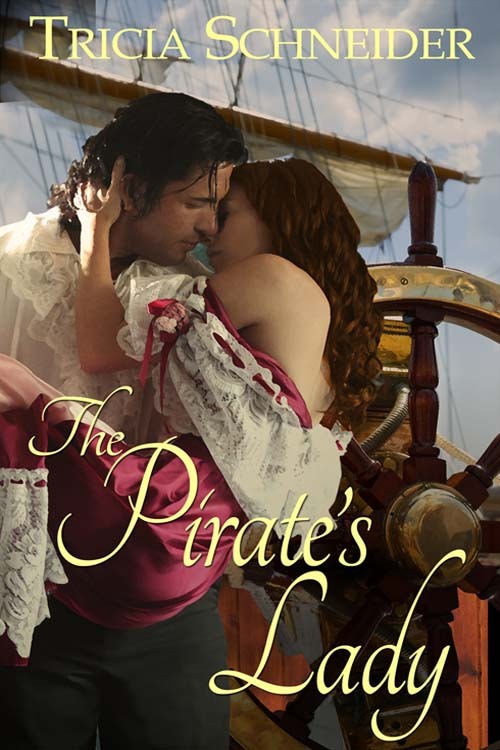 The Pirate's Lady book cover