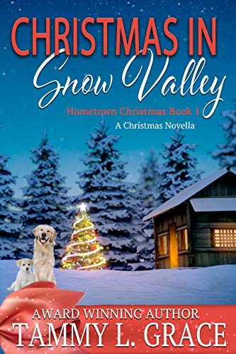 Christmas in Snow Valley book cover