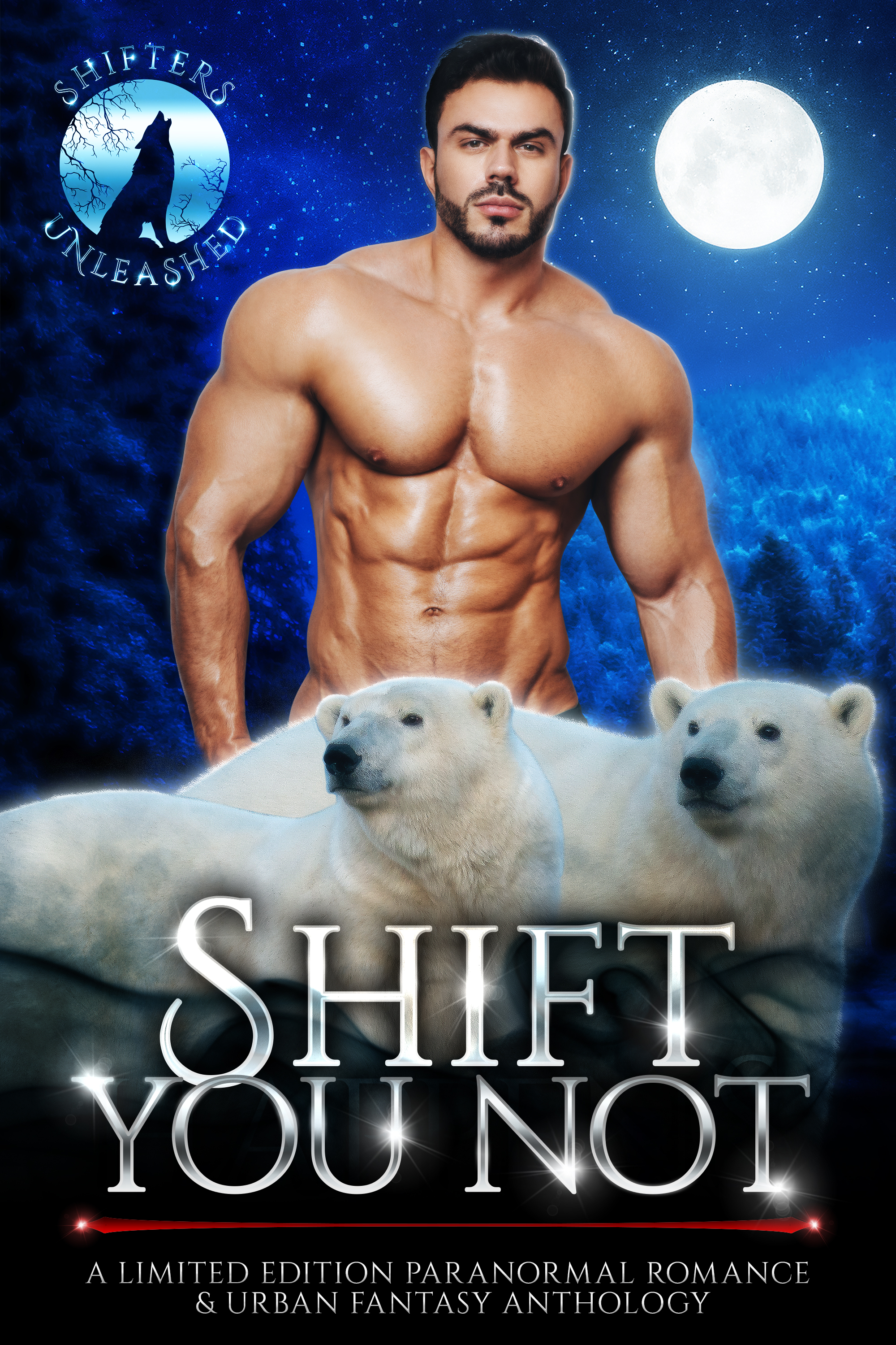 Shift You Not book cover