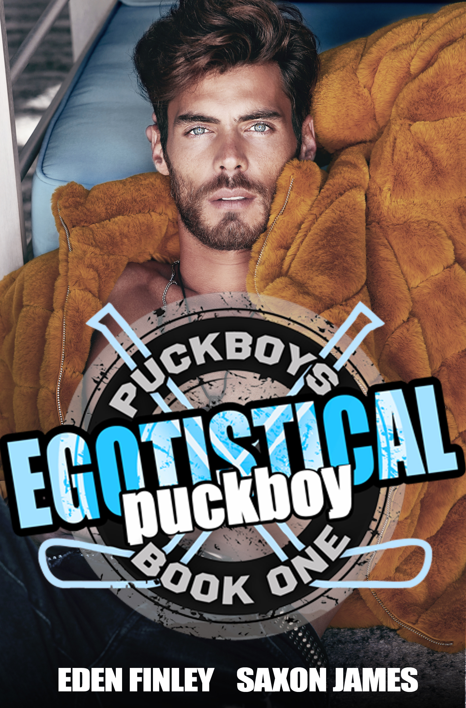 Puckboys book cover 1