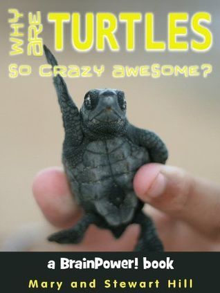 Why Are Turtles So Crazy Awesome? book cover
