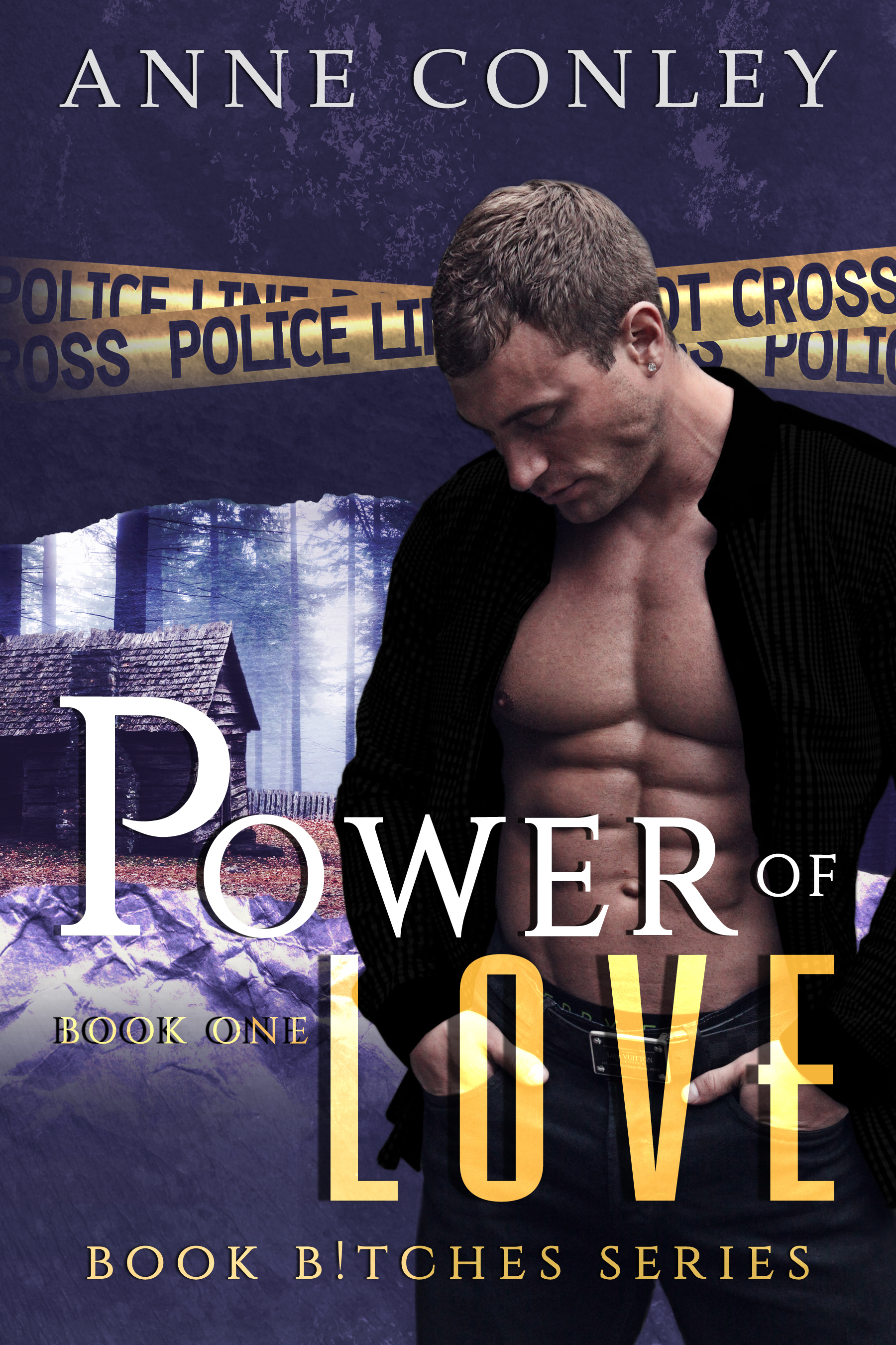 Power of Love book cover
