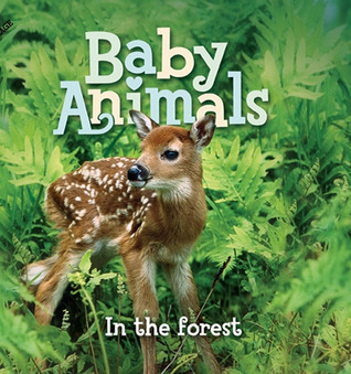 Baby Animals In the Forest book cover