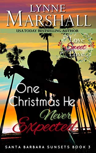 One Christmas He Never Expected book cover