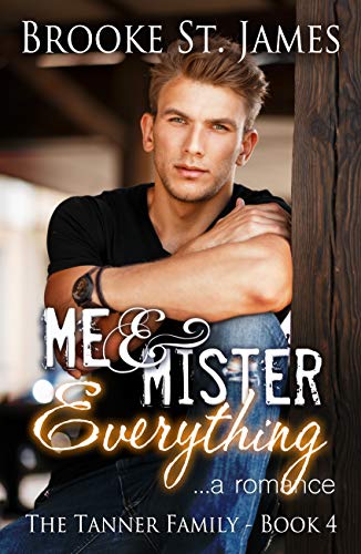 Me & Mister Everything book cover
