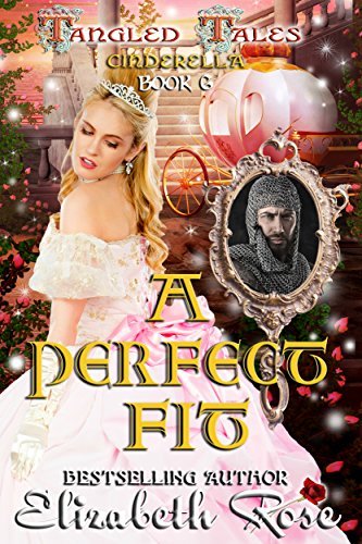 A Perfect Fit book cover