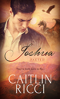 Faeted book cover 1