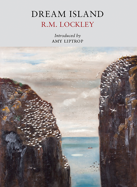 Dream Island book cover