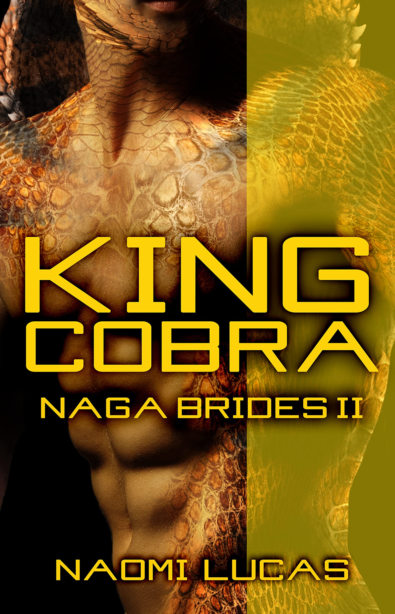 Naga Brides book cover 2