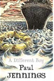 A Different Boy book cover