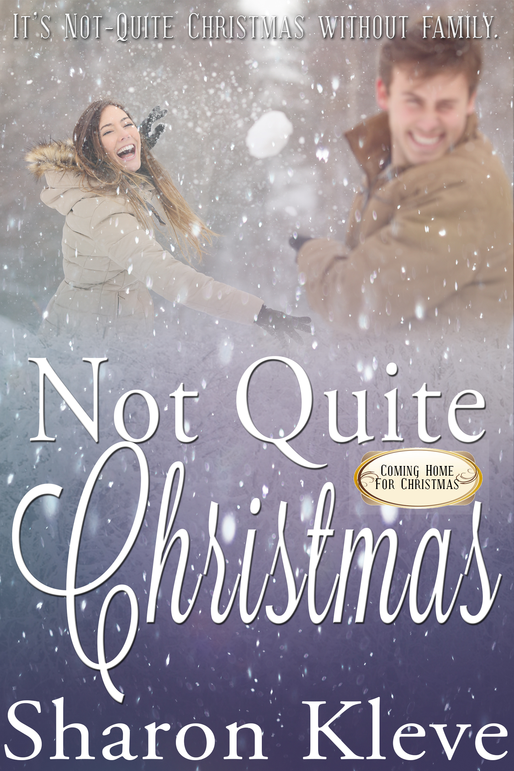 Not Quite Christmas book cover