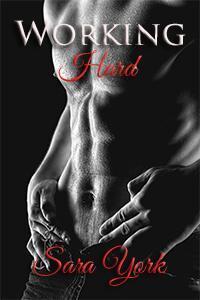 Working book cover 2