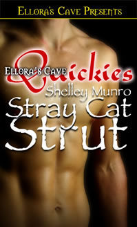 Stray Cat Strut book cover