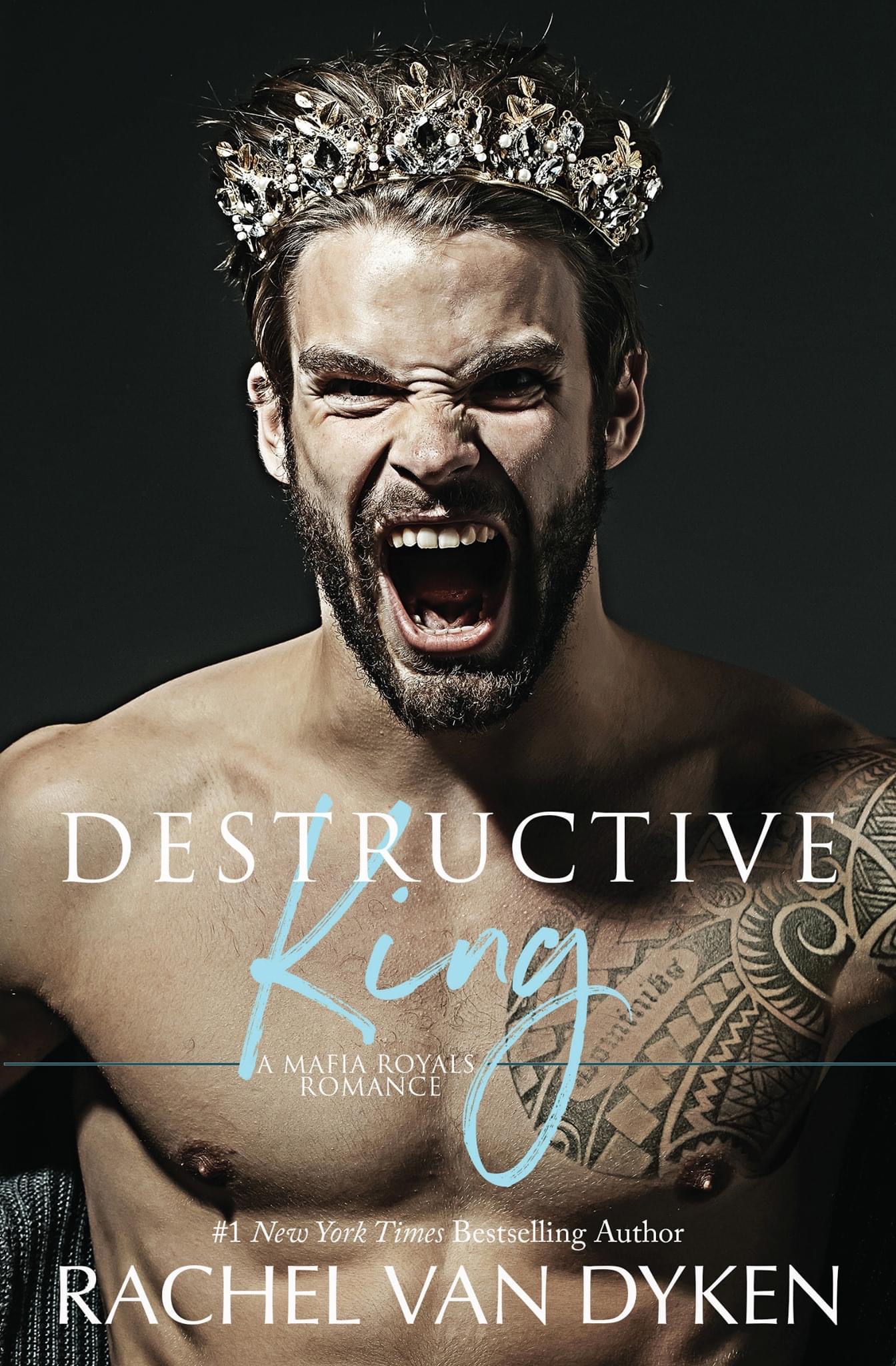 Destructive King book cover