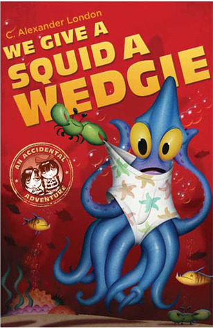 An Accidental Adventure book cover 3