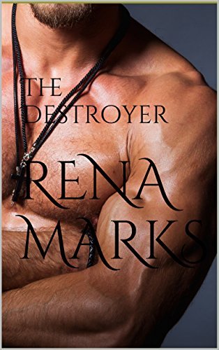 The Destroyer book cover