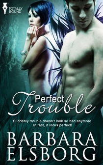 Perfect Trouble book cover