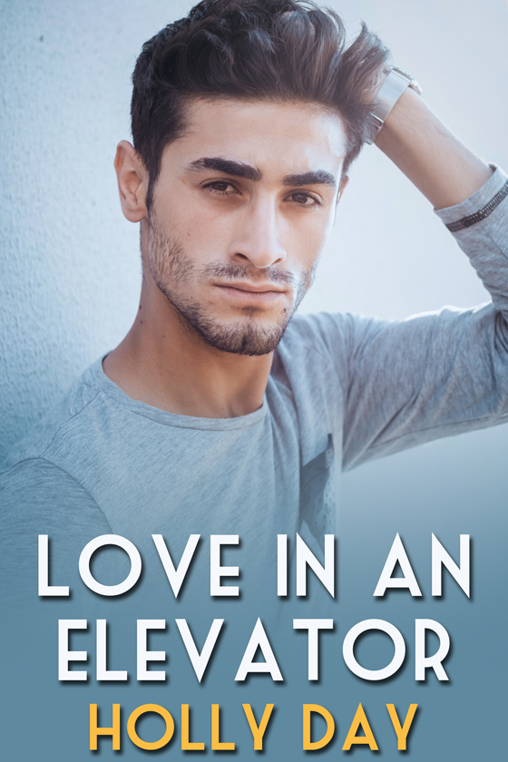 Love in an Elevator book cover
