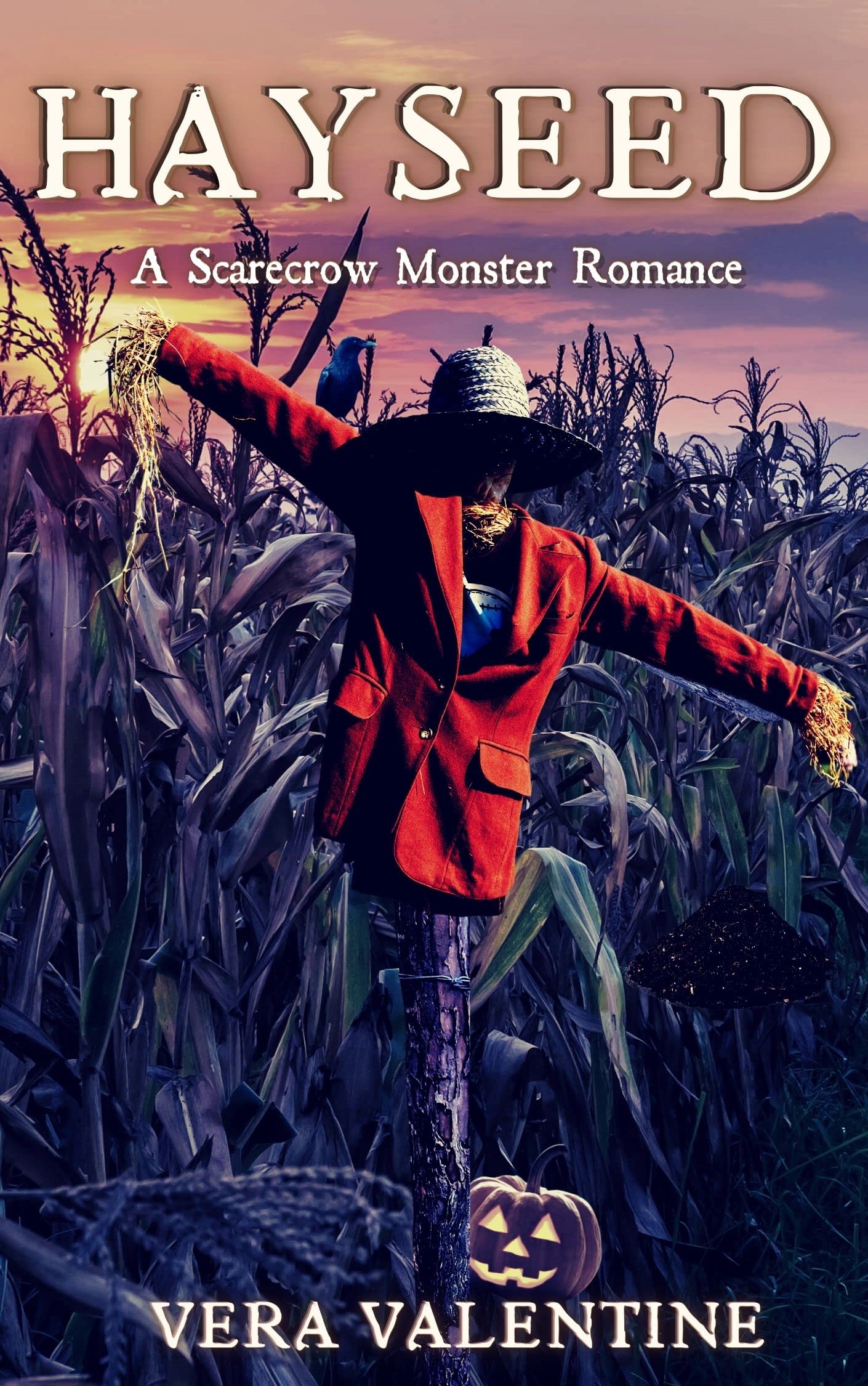 Hayseed book cover