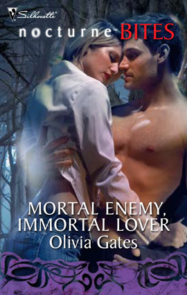 Mortal Enemy, Immortal Lover book cover