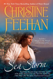 Sea Storm book cover