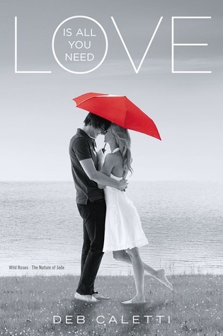 Love Is All You Need book cover