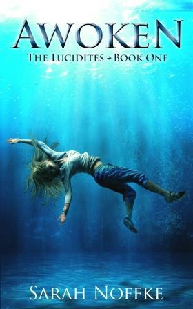 Dream Traveler Universe book cover 1