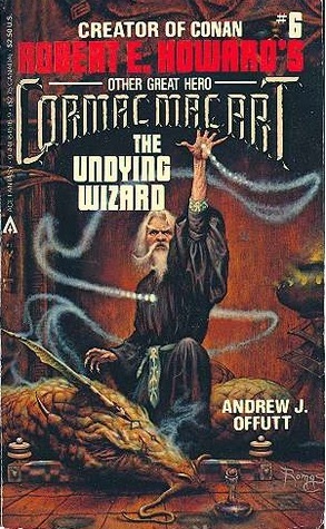 The Undying Wizard book cover