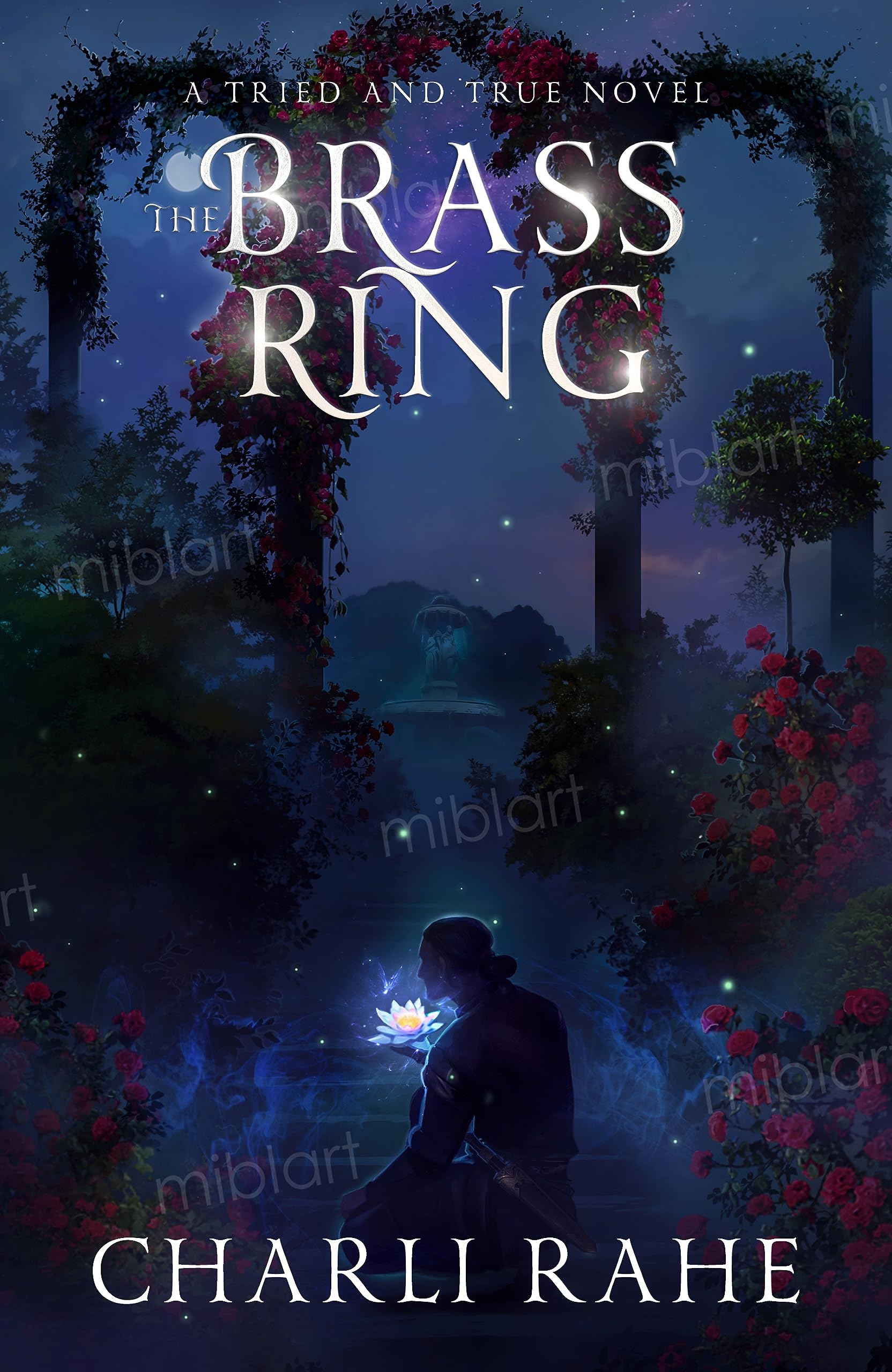 The Brass Ring book cover