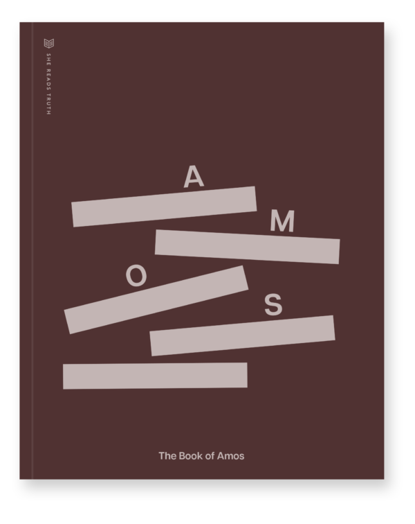 The Book of Amos book cover