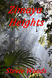 Zimaya Heights book cover