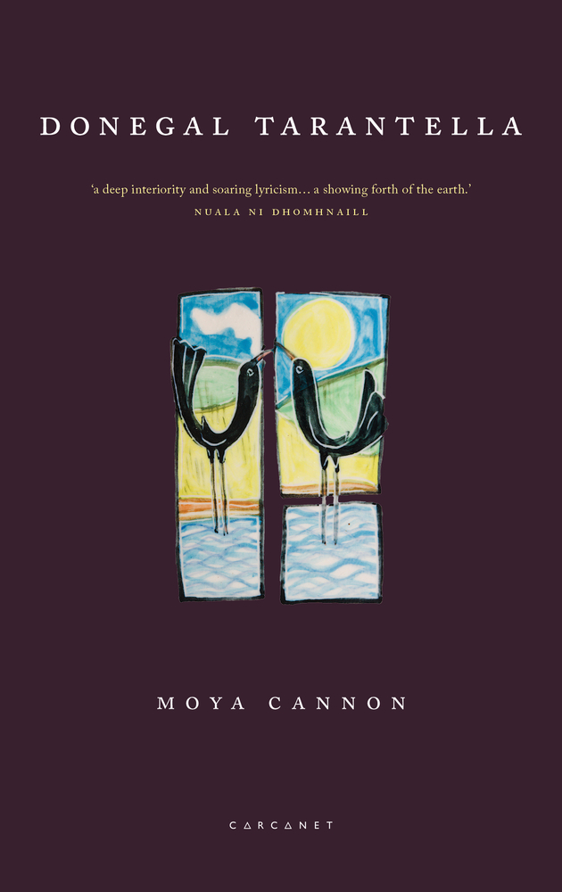Donegal Tarantella book cover