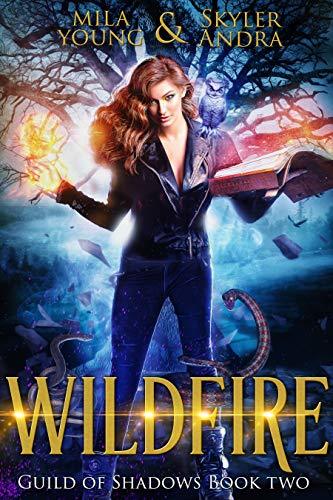 Guild of Shadows book cover 2
