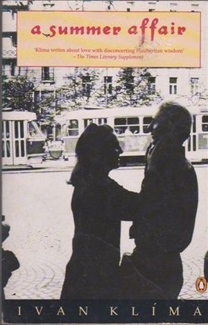 A Summer Affair book cover