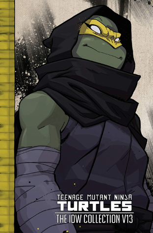 Teenage Mutant Ninja Turtles book cover