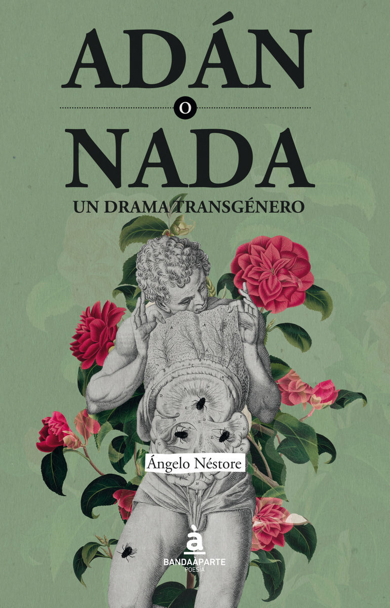 Adán o Nada. Un drama transgénero. book cover