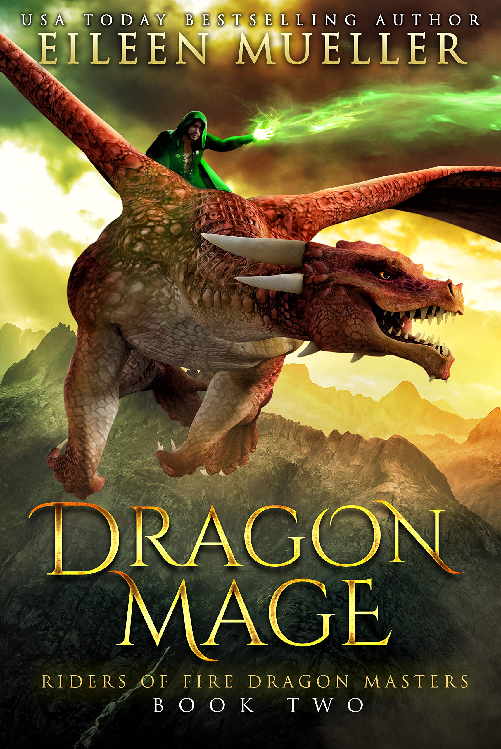 Riders of Fire Dragon Masters book cover 2