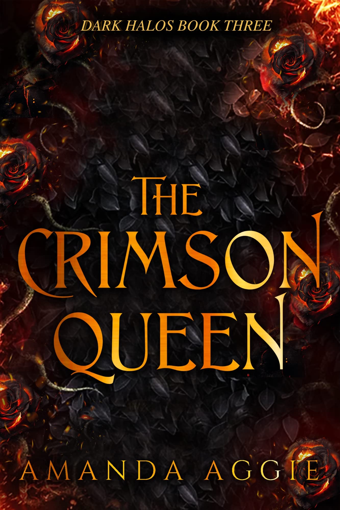 Dark Halos book cover 3