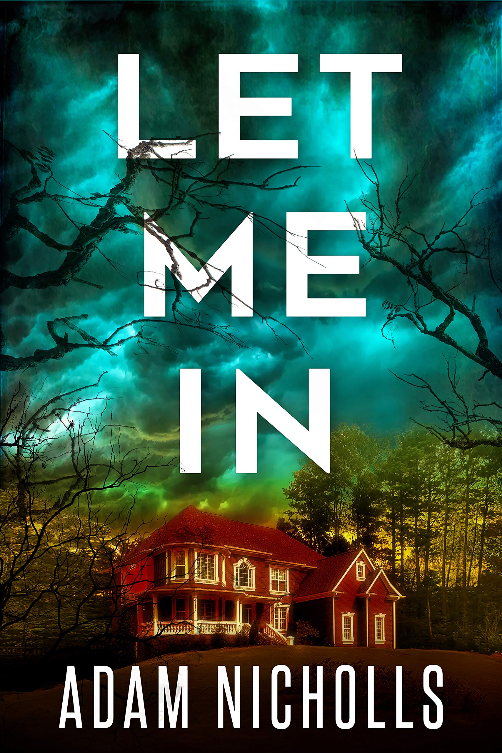 Morgan Young book cover 1