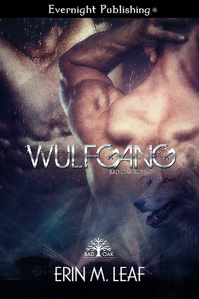 Bad Oak Boys book cover 3