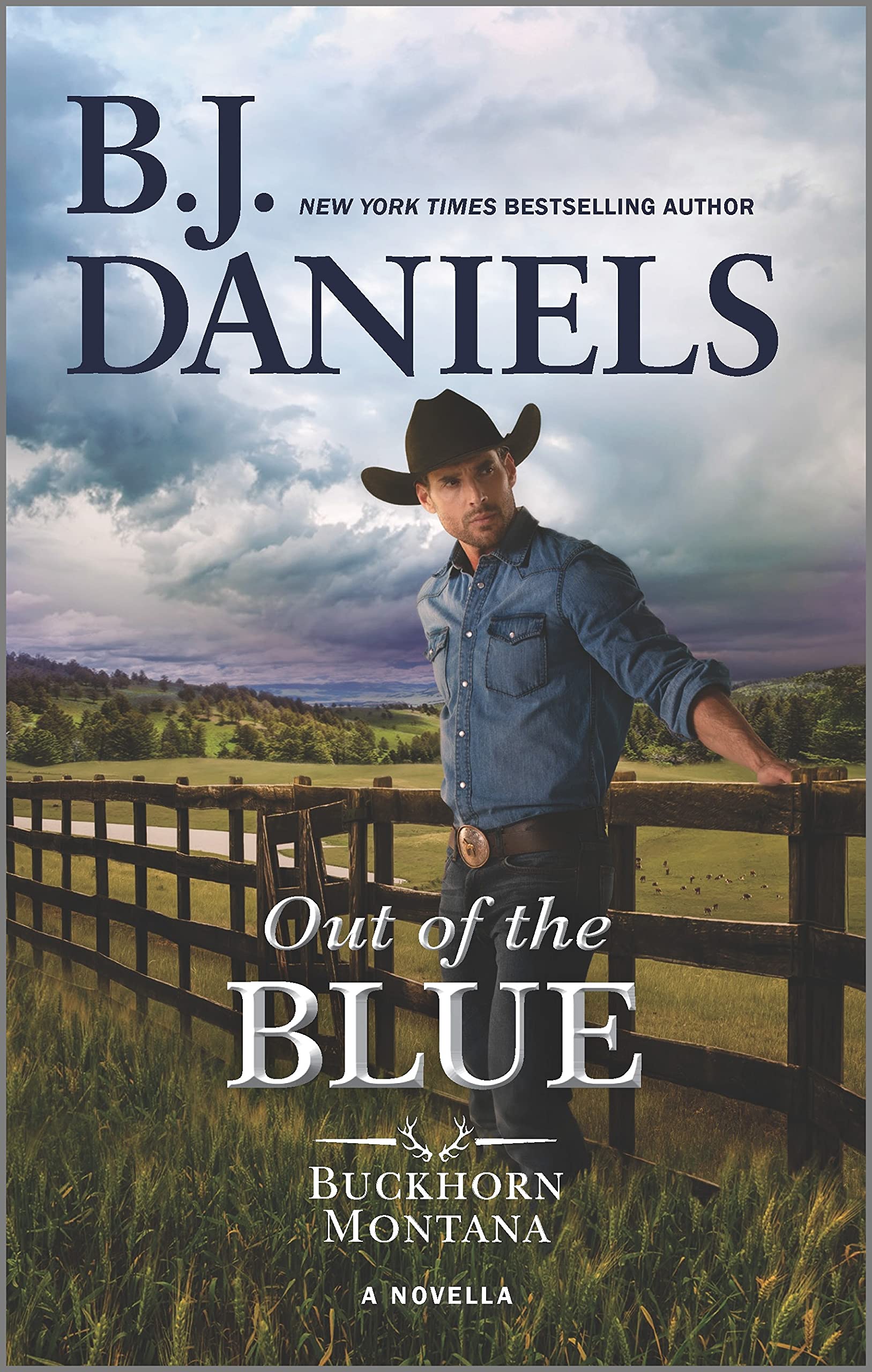 Out of the Blue book cover