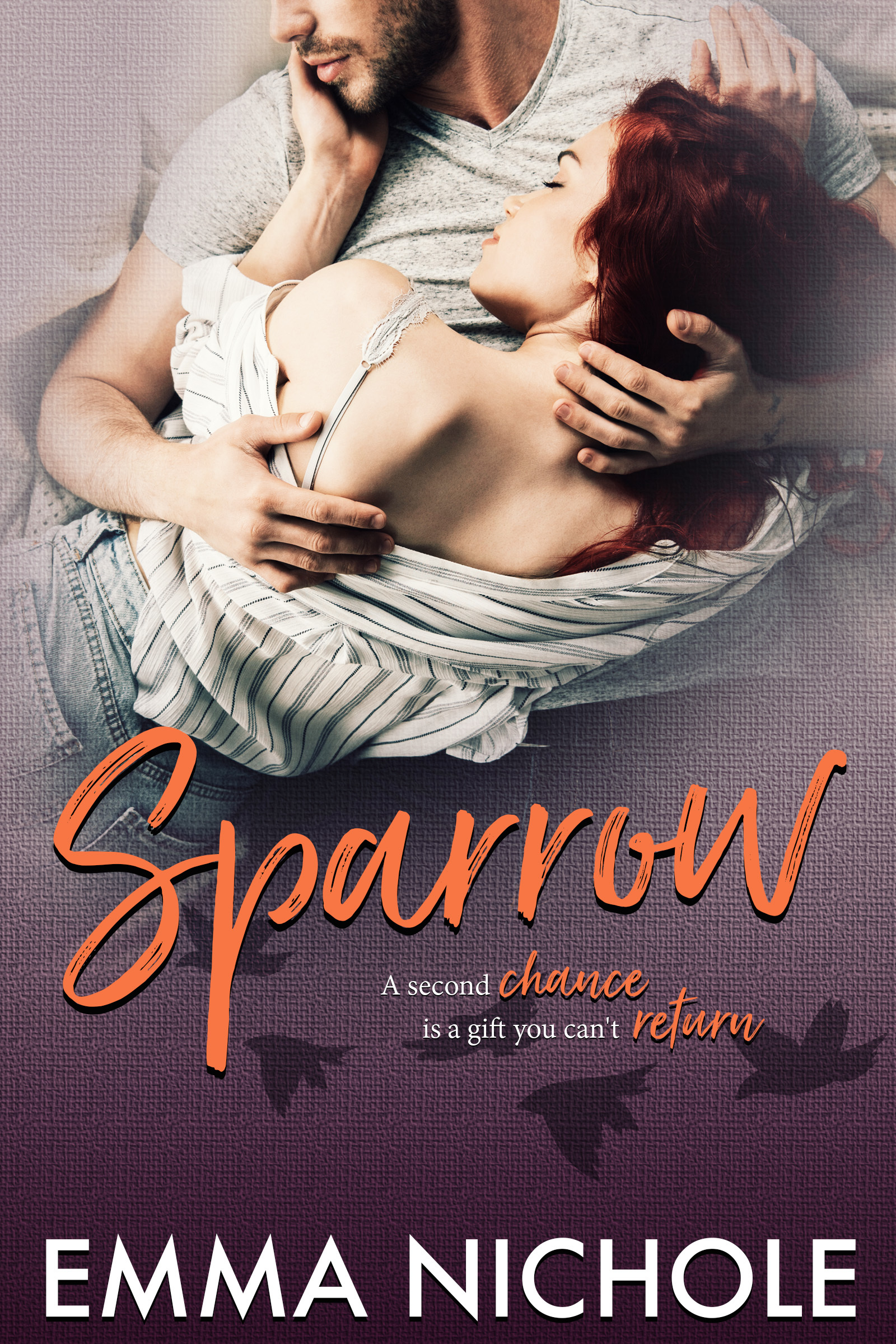 Own The Skies book cover 1