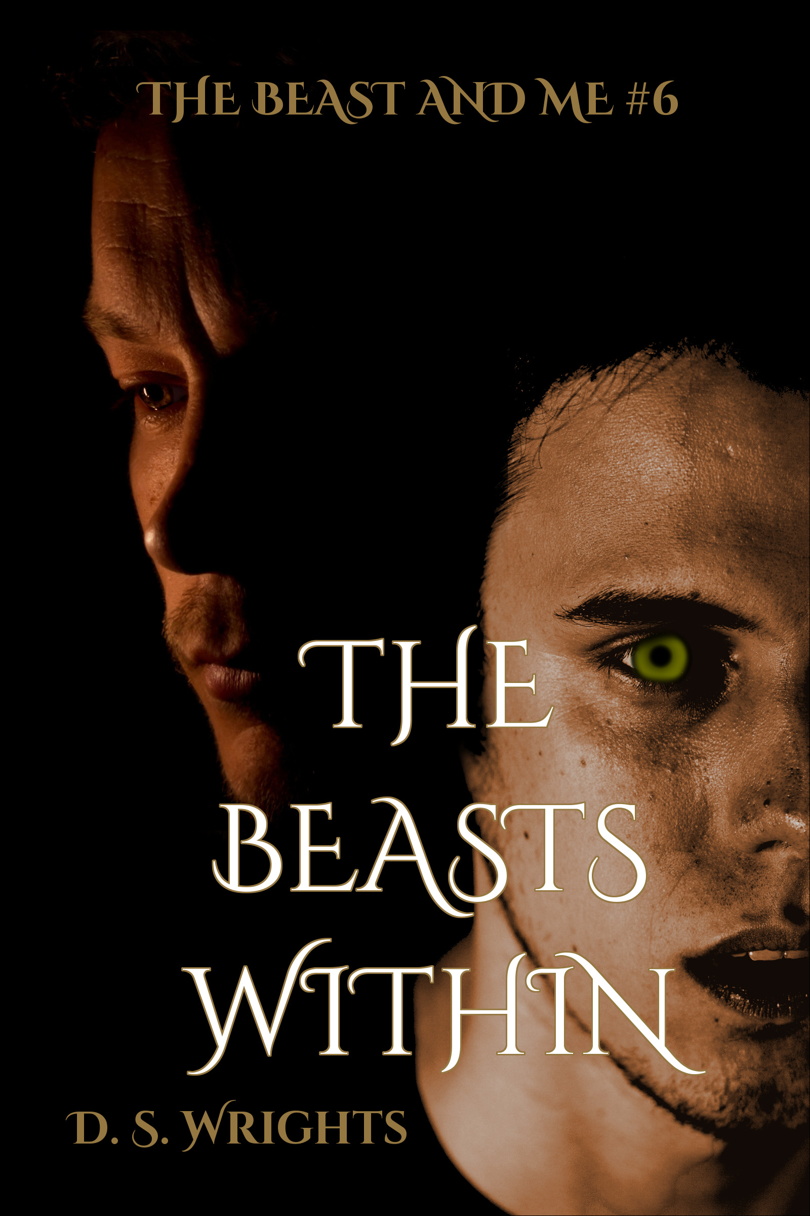 The Beasts Within book cover
