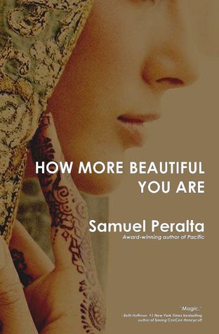 How More Beautiful You Are book cover