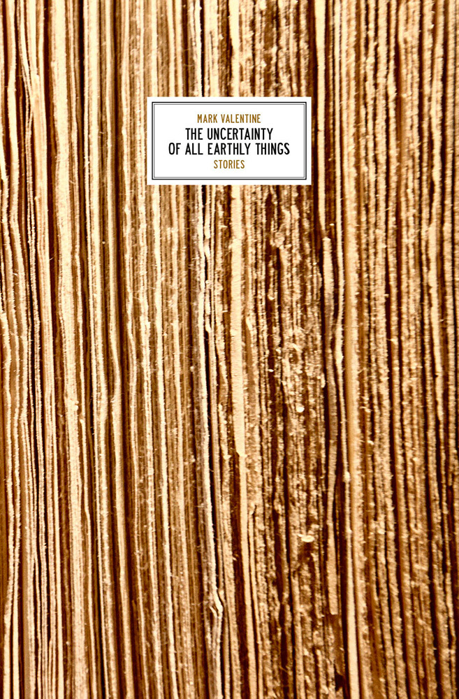 The Uncertainty of All Earthly Things book cover