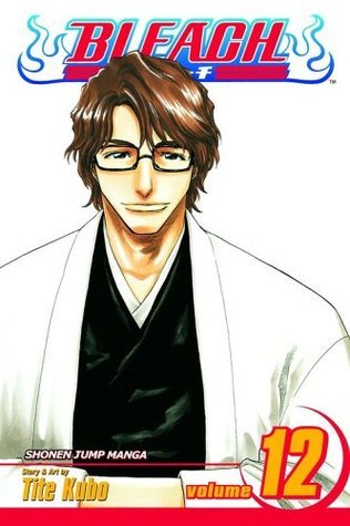 Bleach, Volume 12 book cover