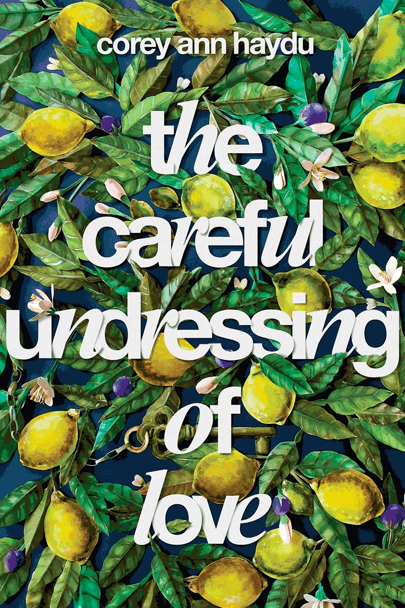 The Careful Undressing of Love book cover